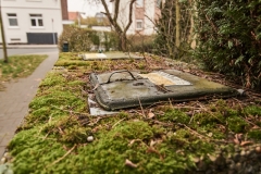 Die verwachsenen Mülltonnen