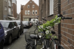 Fahrradschmuck grün