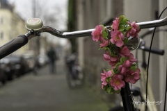 Fahrradschmuck pink