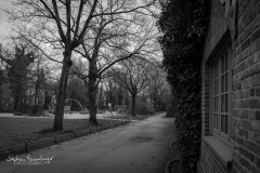 SRO00375_EXP
