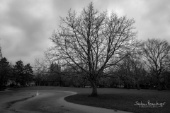 SRO00417_EXP