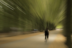 Albrecht, Rainer - Speed