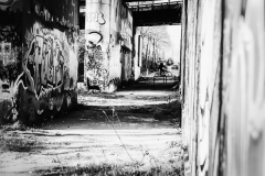 Frenking, Heti - Der Weg